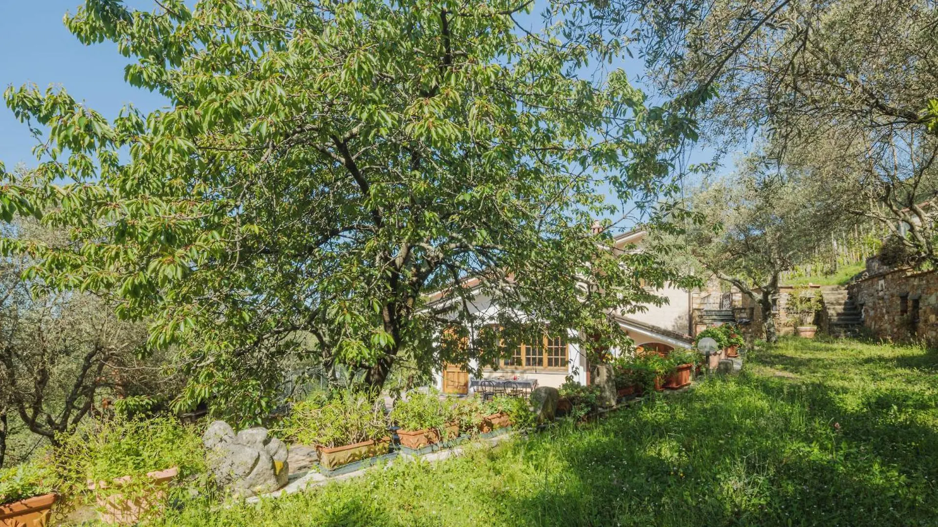 Holiday Home Casali By Interhome Montignoso Italy