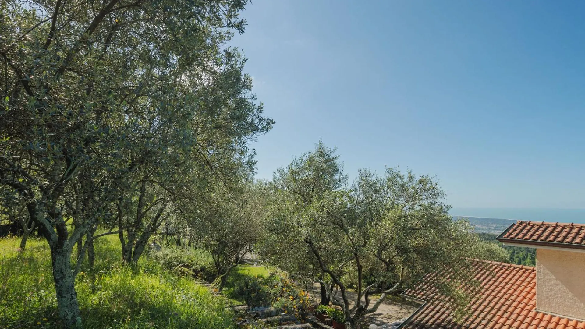 Holiday Home Casali By Interhome Montignoso 0*,